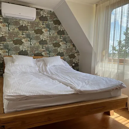 Tatil Evi Vip Vendeghaz *